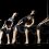 Dayton Contemporary Dance Company